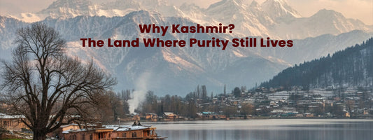 Why Kashmir? The Land Where Purity Still Lives