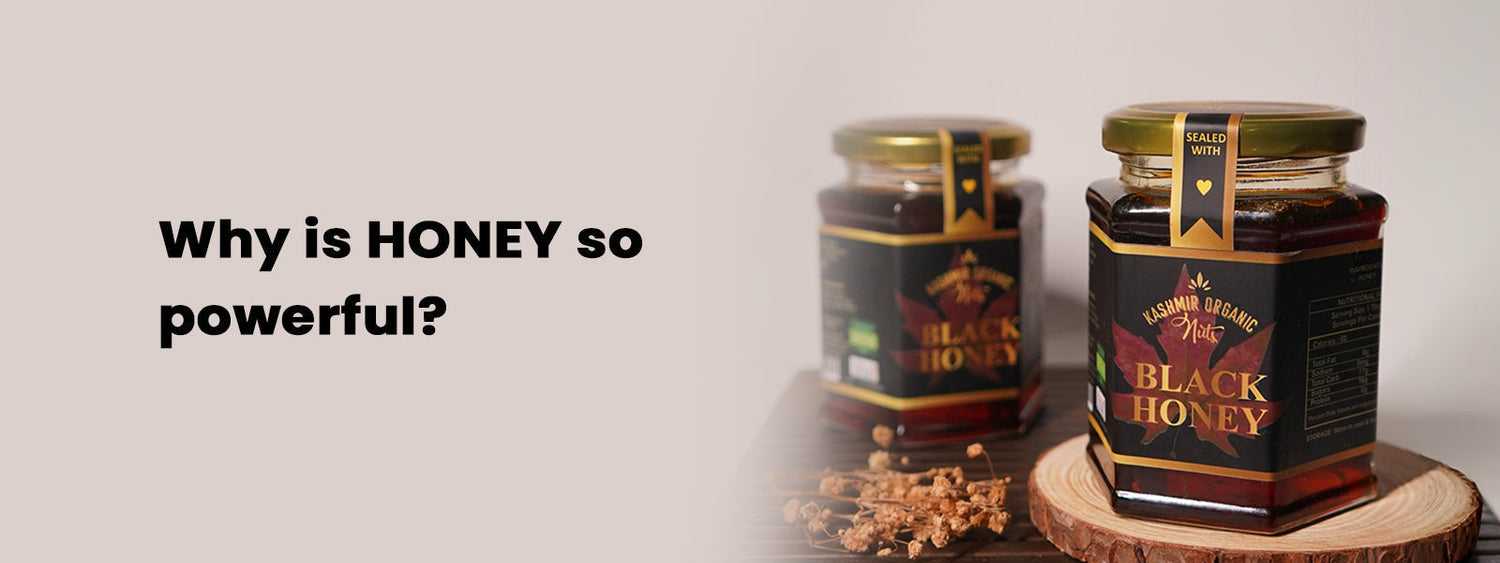 Why Is Honey So Powerful?