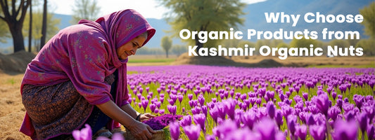 Why Choose Organic Products from Kashmir Organic Nuts