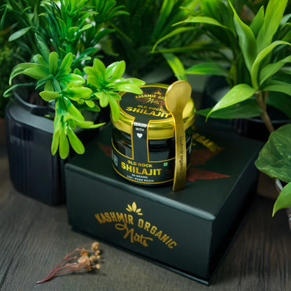 Kashmir Organic Old Rock Shilajit/Shilajeet